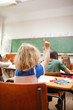 Back view of schoolboy raising hand