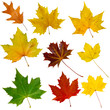 herbstblaetter