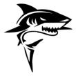 Shark Illustration