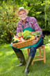 Foto: Senior gardener with a basket of various vegetables Senior gardener with a basket of various vegetables