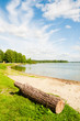 Photo: Lakeshore grassy banks Lakeshore grassy banks