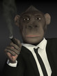 Mr.Monkey - the big boss