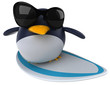 Fun penguin