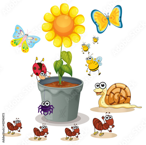 Vector: plant pot and insects plant pot and insects