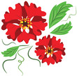 Red flowers.