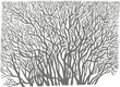 wallpaper tree sticker trees