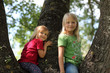 2 Kinder im Baum