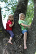 2 Kinder im Baum