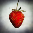 Photo: ripe strawberry ripe strawberry
