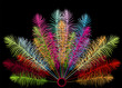 Feathers fan vector on black background