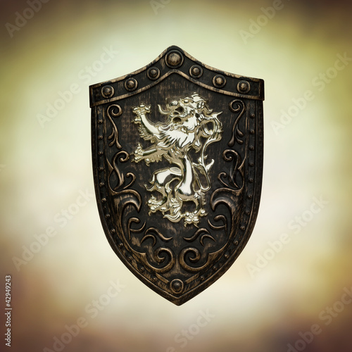 Photo: shield shield