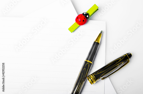Photo: ladybug spin and pen ladybug spin and pen