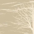 tree silhouette on brown background