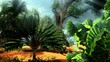 Video: African savannah African savannah