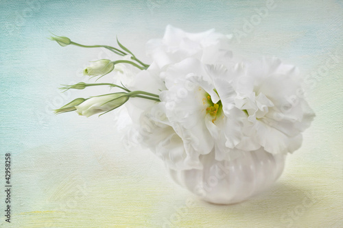 Photo: White flowers White flowers