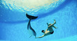 Foto: Man and dolphin Man and dolphin