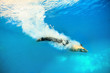 Foto: Jumping into water Jumping into water