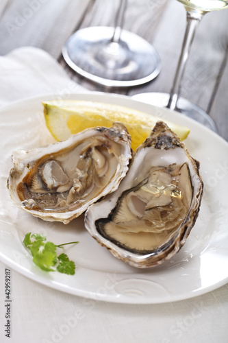 Photo: Fresh oysters Fresh oysters