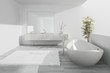 Exclusive luxury white Bathroom interior