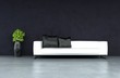 3D Rendering Couch | Sofa