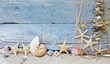 Foto: Maritimer Hintergrund: Strandgut, Muscheln und Seesterne Maritimer Hintergrund: Strandgut, Muscheln und Seesterne