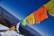 Five colors magic flags