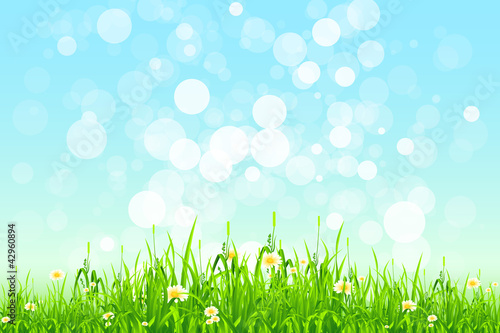 Vektor: Green Grass Green Grass