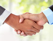 businessman shaking hands