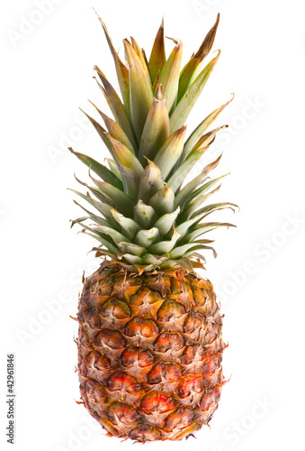 Photo: Pineapple fruit Pineapple fruit