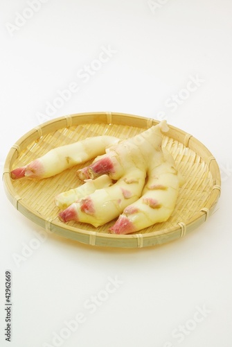Photo: 新生姜 新生姜