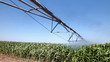 irrigation system