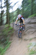 sportliche Bewegung in der Natur