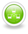 Light Green Icon "Network"