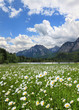 Idylle am Schwansee Allgäu Bayern