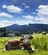 Bergidyll am Hörnle (Alllgäu)