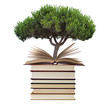 árbol y libros