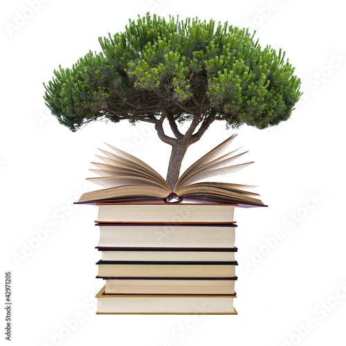 Photo: árbol y libros árbol y libros