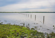 Flooded grassland with a barbed wire fence