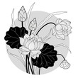 Decorative tattoo lotus flower with circled background