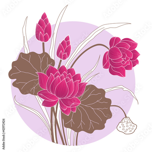 Vector: Decorative chinese lotus flower with circled background of water Decorative chinese lotus flower with circled background of water
