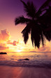 Coucher de soleil vacances