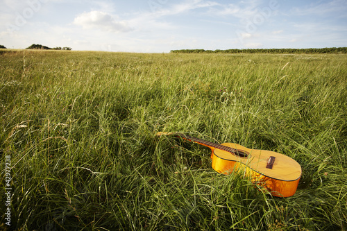 Photo: Wooden guitar lying in grassy field Wooden guitar lying in grassy field