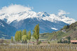 Vinschgau