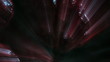 Erotic Environment Through Rays Of Light
