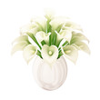 White Calla Bouquet - white background