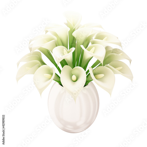 Illustration: White Calla Bouquet - white background White Calla Bouquet - white background
