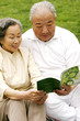 An old couple looking at a photo album 