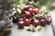 Red berries