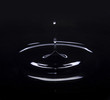 Drop of water and water ripple