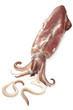 Photo: Squid Squid